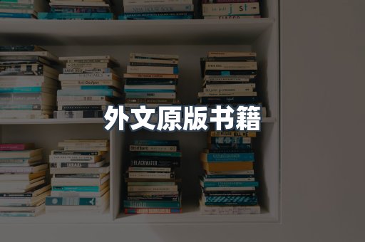海外电子书
